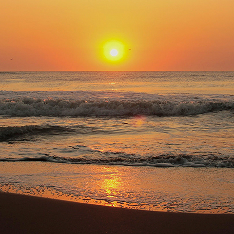 Mar del Plata and the Atlantic Coast