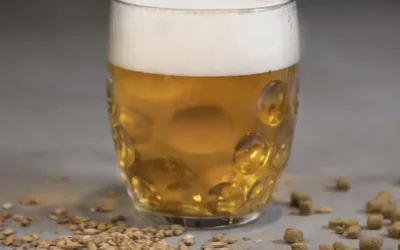 Cerveza artesanal en Villa Crespo